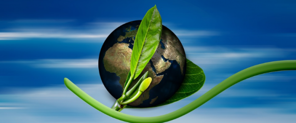 zemegula, zelená rastlina znázorňuje biopalivo