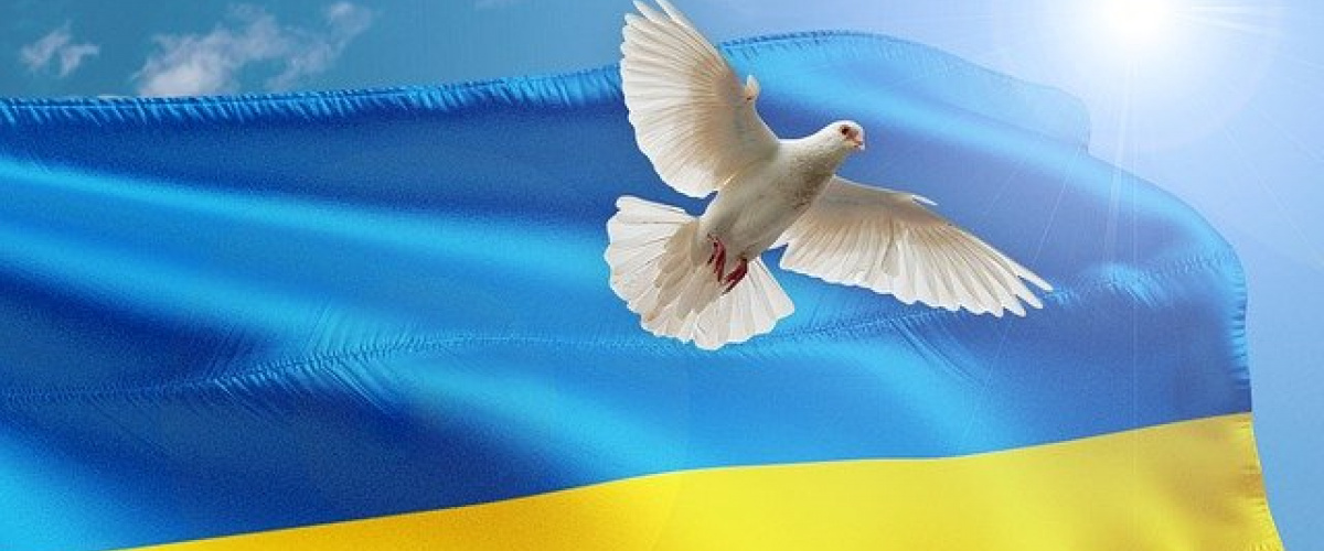 ukrajina vlajka, holubica